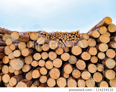 Stacked log 114259110
