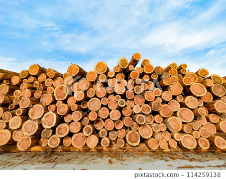 Stacked log Stacked log 114259138
