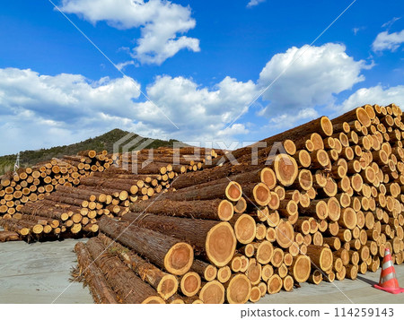 堆積的日誌 114259143