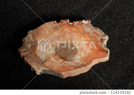 石化木材 114259192