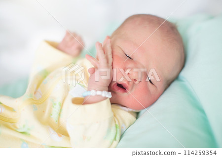 Newborn baby boy in hosptal cot Newborn baby boy in hosptal cot 114259354