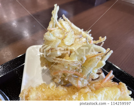炸蔬菜天婦羅 114259597