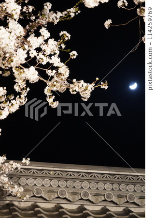 信州信濃西念寺內的櫻花在夜晚被燈光點亮。 信州信濃西念寺內的櫻花在夜晚被燈光點亮。 114259769