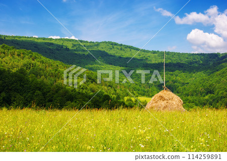 stack of hay on a green meadow in the mountains under a summer sky with clouds 114259891