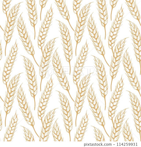 Seamless pattern sketch of ripe spikelets vector graphics Seamless pattern sketch of ripe spikelets vector graphics 114259931