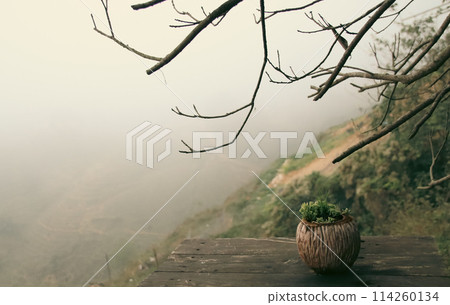 Early foggy wintry morning scenery of the mountain landscape of Sa pa in Northern Vietnam seen from a wooden balcony ledge with a potted plant and overhanging bare branches Early foggy wintry morning scenery of the mountain landscape of Sa pa in Northern Vietnam seen from a wooden balcony ledge with a potted plant and overhanging bare branches 114260134