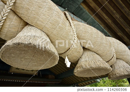 Large tame 114260306