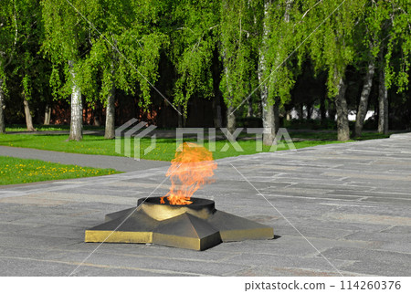 Eternal flame in the memorial park 114260376