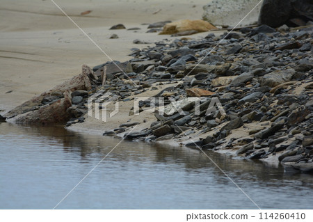 Isochigi Isochigi 114260410