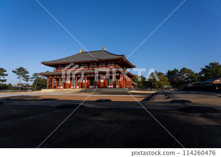 Chugandō Hall of Kofuku-ji Temple in Nara 114260476