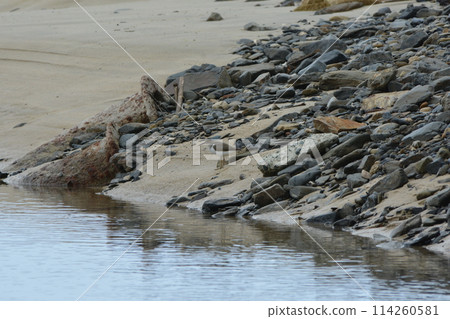 Isochigi Isochigi 114260581