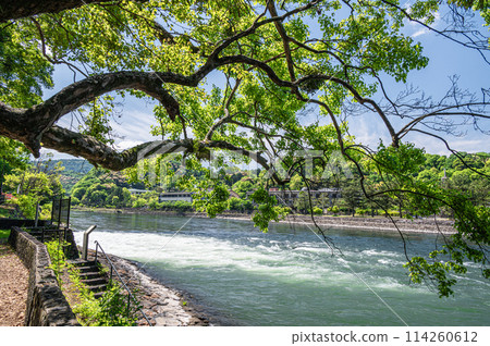 新綠色的宇治川風景 京都府宇治市 新綠色的宇治川風景 京都府宇治市 114260612