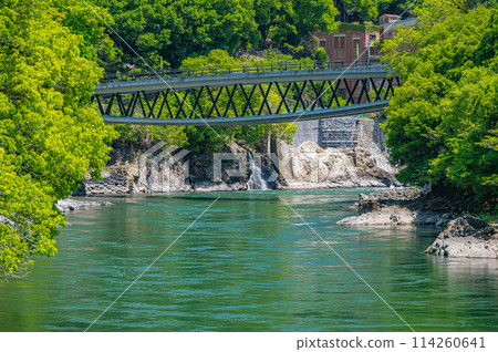 京都府宇治市博井橋宇治川鮮綠景色 京都府宇治市博井橋宇治川鮮綠景色 114260641