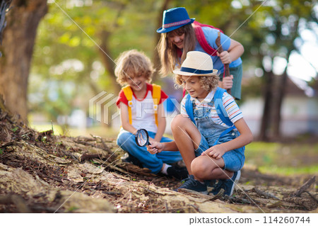 Kids explore nature. Children hike in sunny park. Kids explore nature. Children hike in sunny park. 114260744