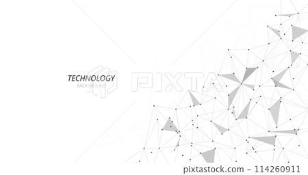 Concept of geometric mesh lines on a white background. 114260911