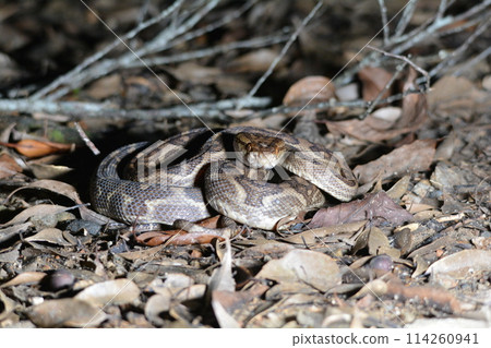 A hub A hub 114260941