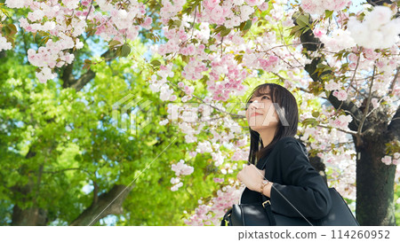 Portrait of a young woman in a suit and cherry blossoms 114260952