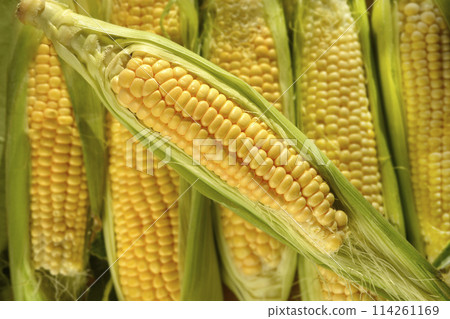 Corn cobs 114261169