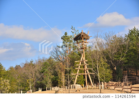 <Aichi Prefecture> Expo Memorial Park (Moricoro Park) 114261594