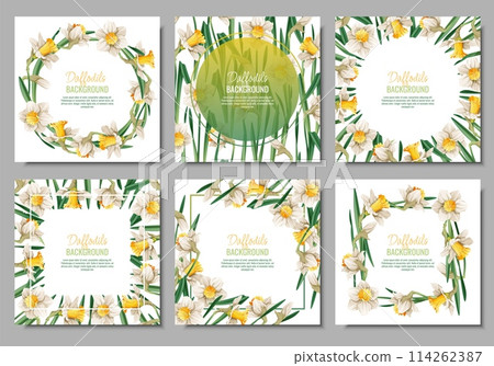 Set of Spring background with daffodils. Postcard, banner for Easter. Spring time. Frame with delicate spring flowers. 114262387
