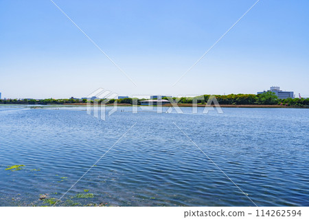 八日瀉是從京葉線南船橋站步行10分鐘的灘塗【船橋風景】 114262594