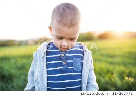 Cute toddler spending time outdoors. Baby on family walk k in spring nature. Happy family moment for new parents 114262773