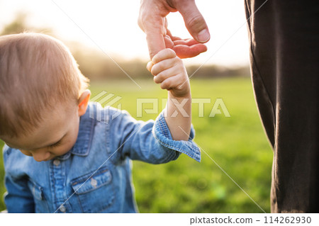 Portrait of father holding little toddler boy by finger, walking in spring nature. First steps for boy during warm spring day. Father's day concept. 114262930