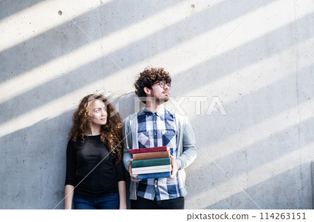 Young university students, holding stack of books, preparing for final exam. Study group. 114263151