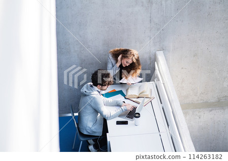 Colleagues helping each other, working on project together. Brainstorming in modern office space. Teamwork. 114263182