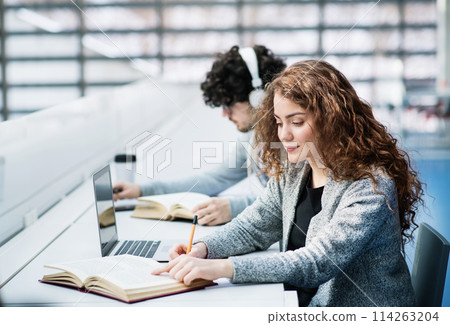 Young female student in library, focusing on final project, presentation. University student preparing for final exam. Young female student in library, focusing on final project, presentation. University student preparing for final exam. 114263204
