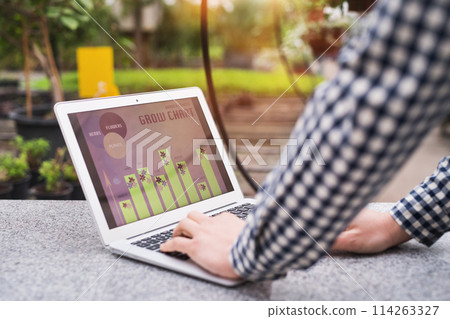 Gardener looking at growing data in laptop, preparing for spring gardening season. Small greenhouse business. 114263327