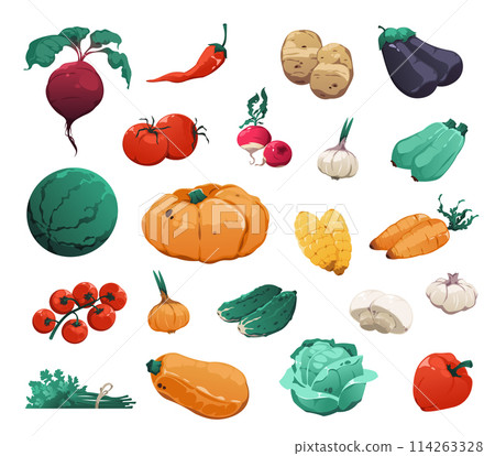 Cartoon vegetables collection, pepper eggplant and carrot Cartoon vegetables collection, pepper eggplant and carrot 114263328