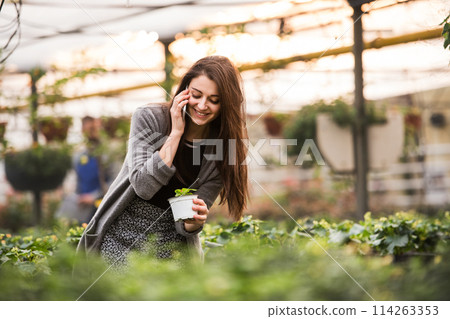 Beautiful business owner phone calling with customer, ordering flowers and seedlings. Small greenhouse business. Beautiful business owner phone calling with customer, ordering flowers and seedlings. Small greenhouse business. 114263353