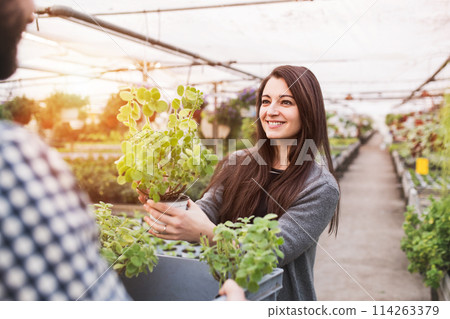 Male gardener helping customer to choose right flowers and seedlings for her garden. Small greenhouse business. Male gardener helping customer to choose right flowers and seedlings for her garden. Small greenhouse business. 114263379