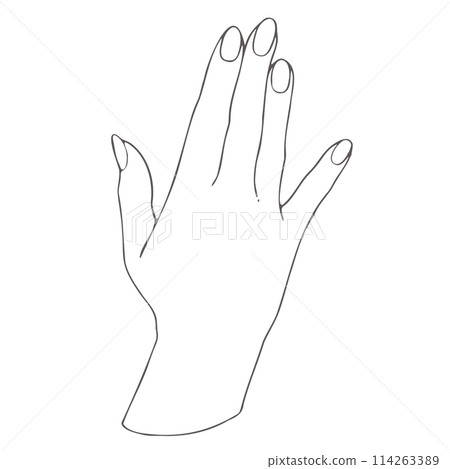 女人的手的線條畫 114263389