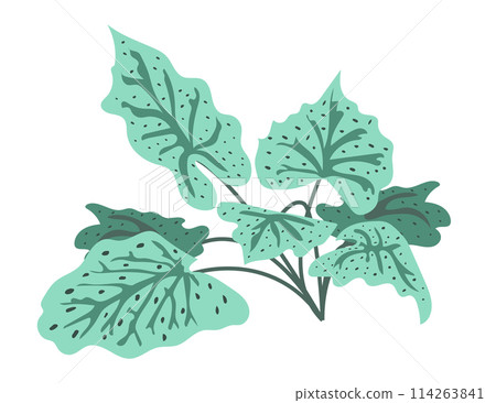 Abstract green leaves bush in flat design. Big tropical foliage branch. Vector illustration isolated. Abstract green leaves bush in flat design. Big tropical foliage branch. Vector illustration isolated. 114263841