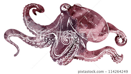 Watercolor and ink hand drawn marine life, sea ocean underwater creatures. fish, shells algae seaweed. Single object illustration, stylized, isolated on white. Zoo shop, aquarium, cosmetics, resort 114264249