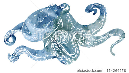 Watercolor and ink hand drawn marine life, sea ocean underwater creatures. fish, shells algae seaweed. Single object illustration, stylized, isolated on white. Zoo shop, aquarium, cosmetics, resort 114264258
