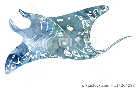 Watercolor and ink hand drawn marine life, sea ocean underwater creatures. fish, shells algae seaweed. Single object illustration, stylized, isolated on white. Zoo shop, aquarium, cosmetics, resort Watercolor and ink hand drawn marine life, sea ocean underwater creatures. fish, shells algae seaweed. Single object illustration, stylized, isolated on white. Zoo shop, aquarium, cosmetics, resort 114264288