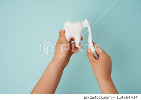 Child's hands holding white tooth and toothbrush on blue background. Healthy care teeth concept Child's hands holding white tooth and toothbrush on blue background. Healthy care teeth concept 114264434