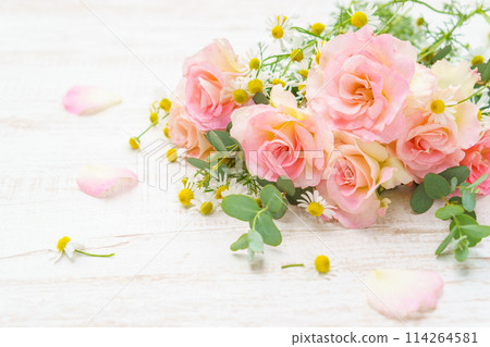 Pink roses and chamomile floral background Pink roses and chamomile floral background 114264581