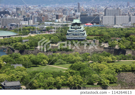 黃金周，五月初，若葉，初夏的大阪城公園，從Tawaman的休息室看到大阪城的新綠。 114264613