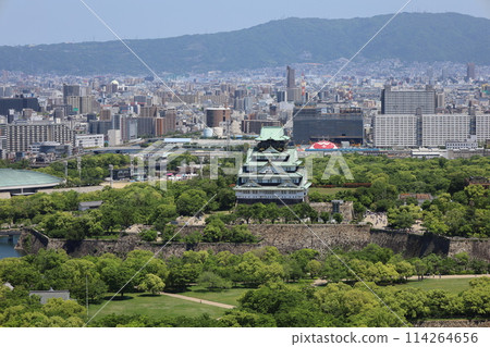 Golden Week, early May, young leaves, Osaka Castle Park in early summer, Osaka Castle with fresh greenery as seen from the lounge of a high-rise apartment 114264656