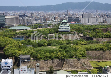 黃金周，五月初，若葉，初夏的大阪城公園，從Tawaman的休息室看到大阪城的新綠。 114264671