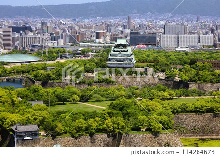 黃金周，五月初，若葉，初夏的大阪城公園，從Tawaman的休息室看到大阪城的新綠。 114264673