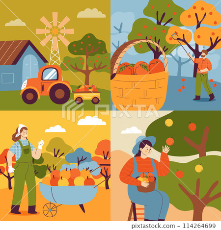 Hand drawn flat fruit harvest square illustration set with people collecting fruits from trees 114264699