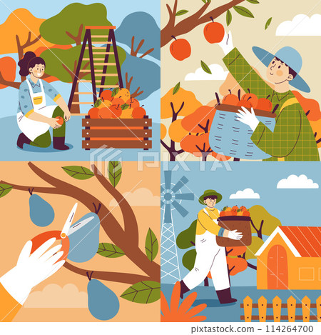 Hand drawn flat fruit harvest square illustration set with people collecting fruits from trees Hand drawn flat fruit harvest square illustration set with people collecting fruits from trees 114264700