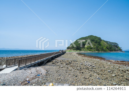 《青森縣》夏泊半島初夏風光 114264911