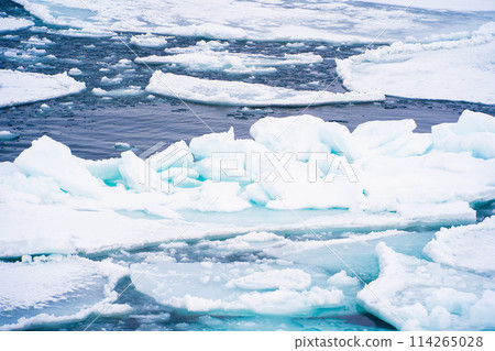 [Monbetsu, Hokkaido] Drift ice in the Sea of Okhotsk 114265028