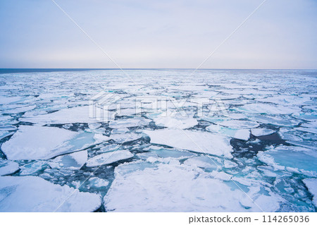 [Monbetsu, Hokkaido] Drift ice in the Sea of Okhotsk 114265036